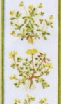 Yellow Flowers