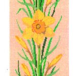 Daffodils