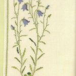 Harebell