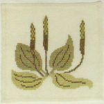 Broadleaf Plantain