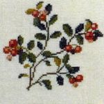 Lingonberry