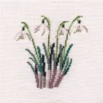 Snowdrop