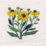 Helenium
