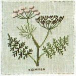 Caraway