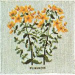 St John's Wort