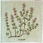 Thyme