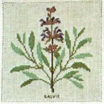 Sage