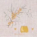 Hawthorn