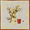 Sloe