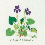 Violet