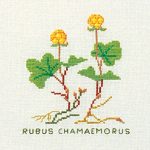 Cloudberries
