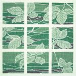 Green Window