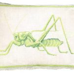 Grasshopper