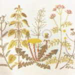 Spring and Summer Flowers