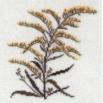 Goldenrod, Nebraska