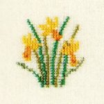 Daffodils