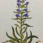 Blueweed
