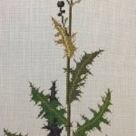 Thistle