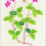 Blackberry
