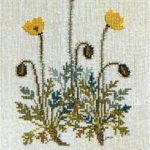 Poppy