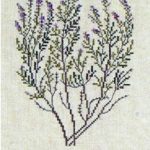 Heather