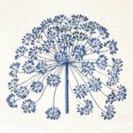 Hogweed