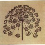 Hogweed