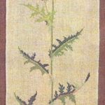 Thistle