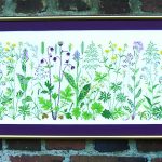 Flowers of the Meadow
