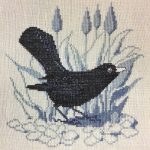 Blackbird