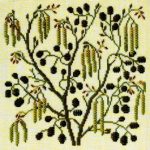 Alder