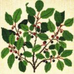 Alder Buckthorn