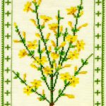 Winter Jasmine