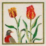 Tulips and Wood Pigeon