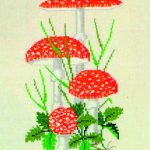 Fly Agaric