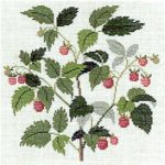 Raspberry