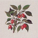 Crab Apple