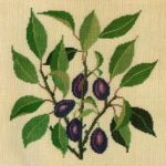 Plum