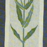Teasel Green