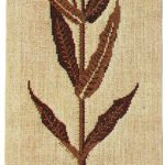 Teasel Brown