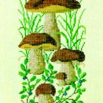 Boletus