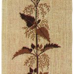 Nettle, Brown
