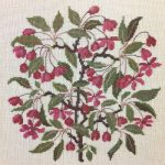 Crab Apple
