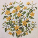 Kerria Japonica