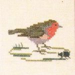 Robin