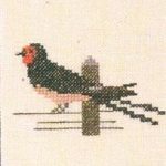 Swallow