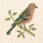 Chaffinch