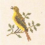 Icterine Warbler
