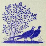 Pheasant