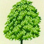 Horse Chestnut